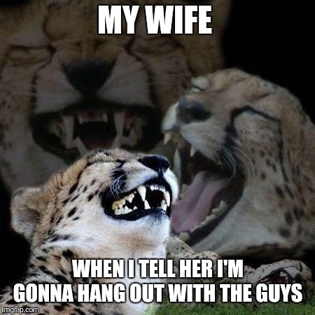 Laughing Cheetah | MY WIFE; WHEN I TELL HER I'M GONNA HANG OUT WITH THE GUYS | image tagged in laughing cheetah | made w/ Imgflip meme maker