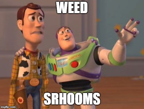 X, X Everywhere | WEED; SRHOOMS | image tagged in memes,x x everywhere | made w/ Imgflip meme maker