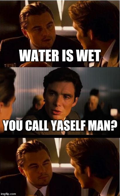 Inception | WATER IS WET; YOU CALL YASELF MAN? | image tagged in memes,inception | made w/ Imgflip meme maker