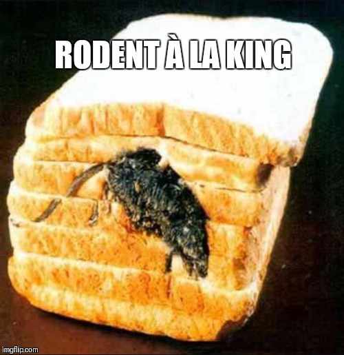 Just pray that you see it before you take a bite of your sandwich  | RODENT À LA KING | image tagged in memes,fails,cooking,you had one job,funny,mouse trap | made w/ Imgflip meme maker