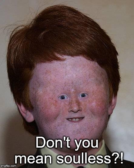 Dumb Ginger | Don't you mean soulless?! | image tagged in dumb ginger | made w/ Imgflip meme maker