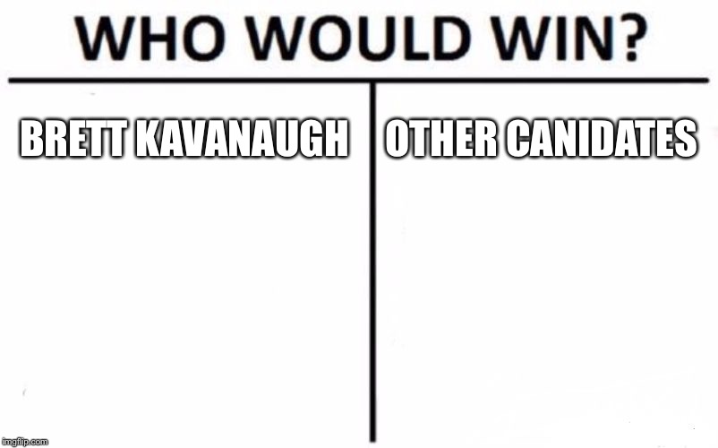 Who Would Win? Meme | BRETT KAVANAUGH; OTHER CANIDATES | image tagged in memes,who would win | made w/ Imgflip meme maker
