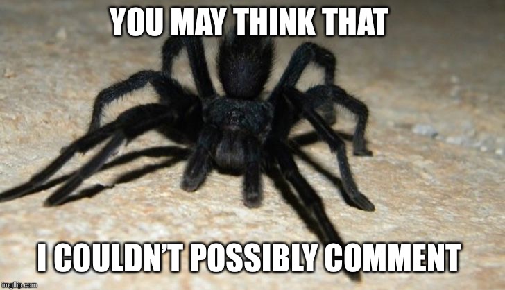 tarantula | YOU MAY THINK THAT; I COULDN’T POSSIBLY COMMENT | image tagged in tarantula | made w/ Imgflip meme maker