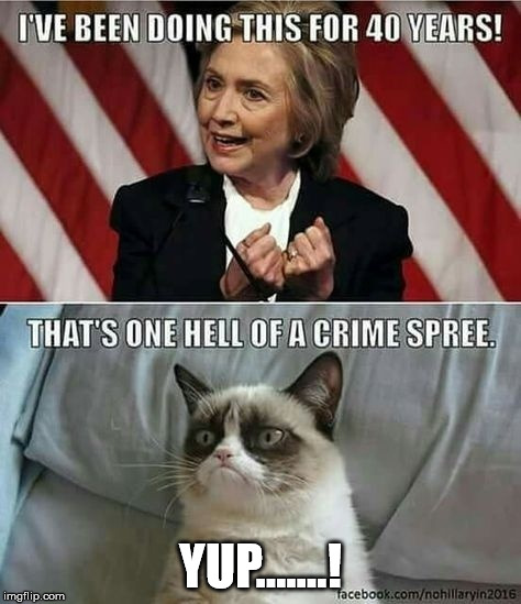 YUP.......! | image tagged in hillary | made w/ Imgflip meme maker