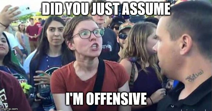 Did you just assume my gender | DID YOU JUST ASSUME I'M OFFENSIVE | image tagged in did you just assume my gender | made w/ Imgflip meme maker