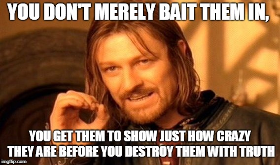One Does Not Simply | YOU DON'T MERELY BAIT THEM IN, YOU GET THEM TO SHOW JUST HOW CRAZY THEY ARE BEFORE YOU DESTROY THEM WITH TRUTH | image tagged in memes,one does not simply | made w/ Imgflip meme maker
