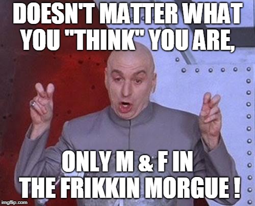 Dr Evil Laser | DOESN'T MATTER WHAT YOU "THINK" YOU ARE, ONLY M & F IN THE FRIKKIN MORGUE ! | image tagged in memes,dr evil laser | made w/ Imgflip meme maker
