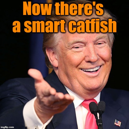 Now there's a smart catfish | made w/ Imgflip meme maker