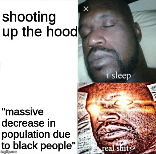 Sleeping Shaq Meme | shooting up the hood; "massive decrease in population due to black people" | image tagged in memes,sleeping shaq | made w/ Imgflip meme maker