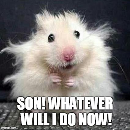 Stressed Mouse | SON! WHATEVER WILL I DO NOW! | image tagged in stressed mouse | made w/ Imgflip meme maker
