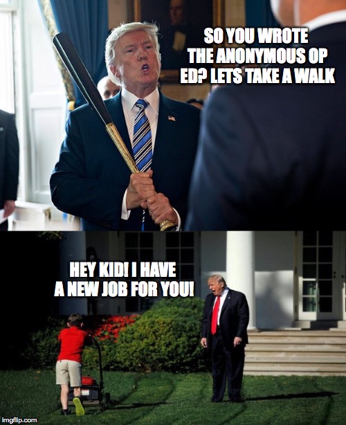 ill let you do the imagining between these two scenes XD | SO YOU WROTE THE ANONYMOUS OP ED? LETS TAKE A WALK; HEY KID! I HAVE A NEW JOB FOR YOU! | image tagged in donald trump,new york times,murder,politics lol,one does not simply | made w/ Imgflip meme maker