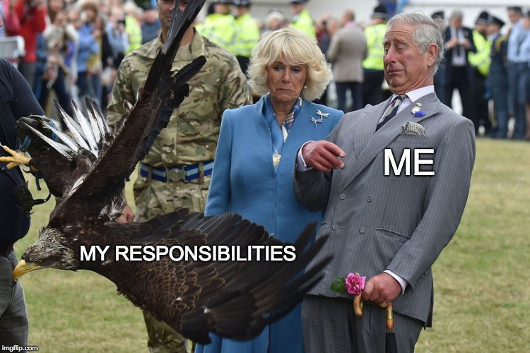Prince Charles is my spirit animal. | ME; MY RESPONSIBILITIES | image tagged in prince charles,disappointment,memes | made w/ Imgflip meme maker