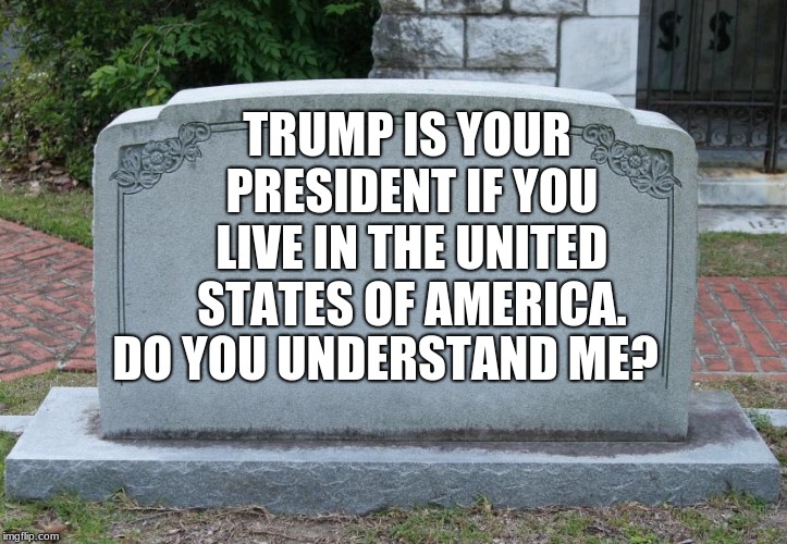 Blank Tombstone | TRUMP IS YOUR PRESIDENT IF YOU LIVE IN THE UNITED STATES OF AMERICA. DO YOU UNDERSTAND ME? | image tagged in blank tombstone | made w/ Imgflip meme maker