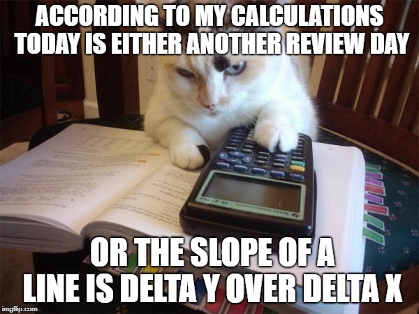 Math cat | ACCORDING TO MY CALCULATIONS TODAY IS EITHER ANOTHER REVIEW DAY; OR THE SLOPE OF A LINE IS DELTA Y OVER DELTA X | image tagged in math cat | made w/ Imgflip meme maker
