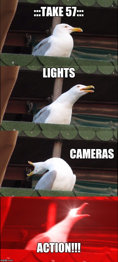 taking to the movies in 20seagull | :::TAKE 57:::; LIGHTS; CAMERAS; ACTION!!! | image tagged in memes,inhaling seagull,take1,take2,take3,come on | made w/ Imgflip meme maker
