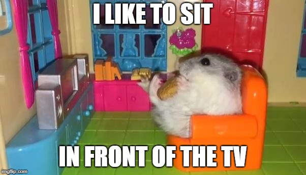 I LIKE TO SIT IN FRONT OF THE TV | made w/ Imgflip meme maker