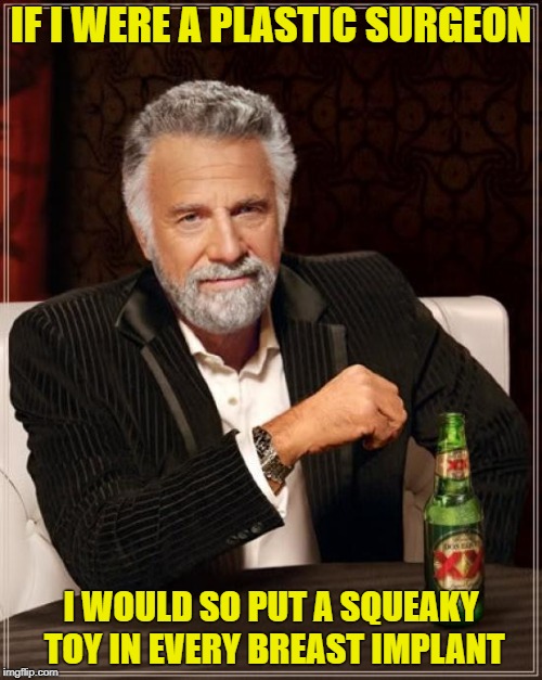The Most Interesting Man In The World | IF I WERE A PLASTIC SURGEON; I WOULD SO PUT A SQUEAKY TOY IN EVERY BREAST IMPLANT | image tagged in memes,the most interesting man in the world | made w/ Imgflip meme maker