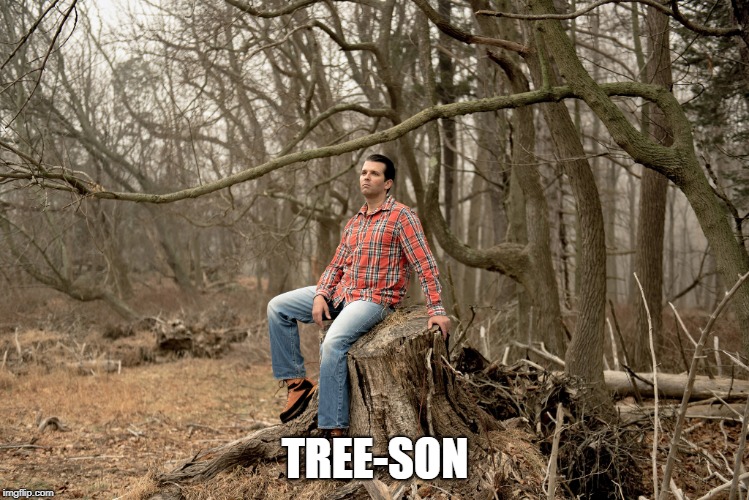 tree-son | TREE-SON | image tagged in don jr alone | made w/ Imgflip meme maker