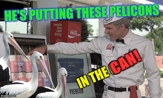 HE'S PUTTING THESE PELICONS IN THE CAN! CAN! | made w/ Imgflip meme maker