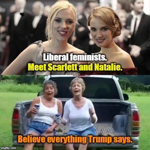 ` | image tagged in liberals,hollywood liberals,trump,maga,qanon | made w/ Imgflip meme maker