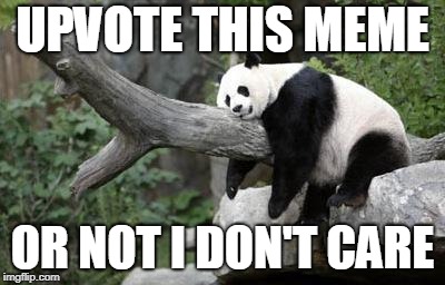 lazy panda | UPVOTE THIS MEME; OR NOT I DON'T CARE | image tagged in lazy panda | made w/ Imgflip meme maker