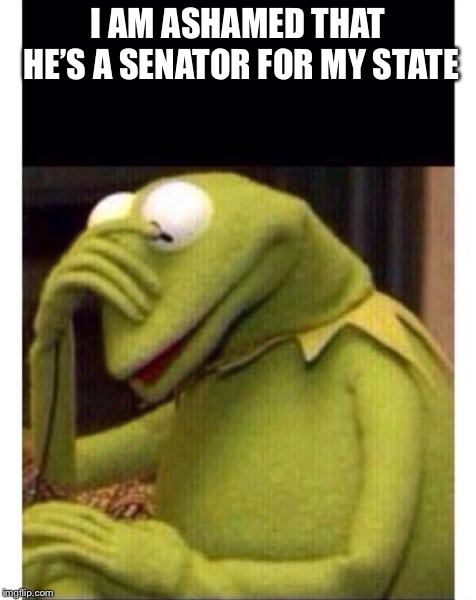 kermit face plam | I AM ASHAMED THAT HE’S A SENATOR FOR MY STATE | image tagged in kermit face plam | made w/ Imgflip meme maker