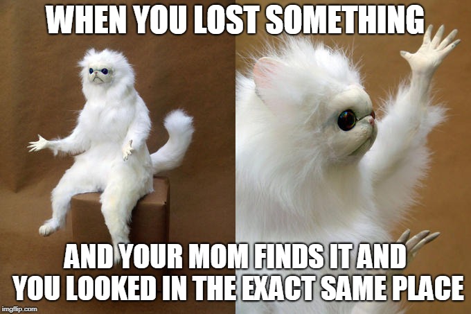 Persian Cat Room Guardian | WHEN YOU LOST SOMETHING; AND YOUR MOM FINDS IT AND YOU LOOKED IN THE EXACT SAME PLACE | image tagged in memes,persian cat room guardian | made w/ Imgflip meme maker