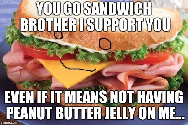 Sandwich | YOU GO SANDWICH BROTHER I SUPPORT YOU; EVEN IF IT MEANS NOT HAVING PEANUT BUTTER JELLY ON ME... | image tagged in sandwich | made w/ Imgflip meme maker