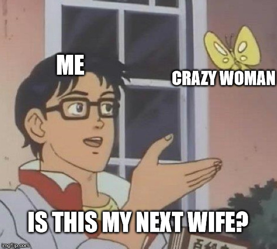 true story...the end | ME; CRAZY WOMAN; IS THIS MY NEXT WIFE? | image tagged in memes,is this a pigeon,crazy girlfriend,bad decision | made w/ Imgflip meme maker