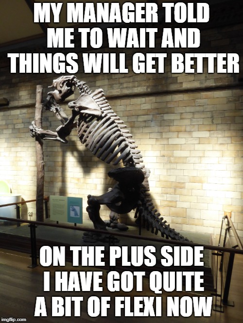 meme | MY MANAGER TOLD ME TO WAIT AND THINGS WILL GET BETTER; ON THE PLUS SIDE I HAVE GOT QUITE A BIT OF FLEXI NOW | image tagged in funny memes | made w/ Imgflip meme maker