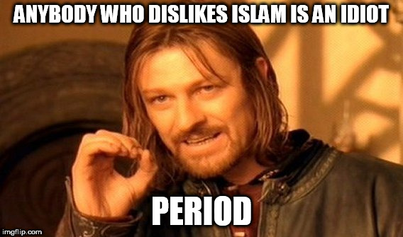 One Does Not Simply Meme | ANYBODY WHO DISLIKES ISLAM IS AN IDIOT; PERIOD | image tagged in islamophobia,islam,idiot,idiots,idiocy,idiotball | made w/ Imgflip meme maker