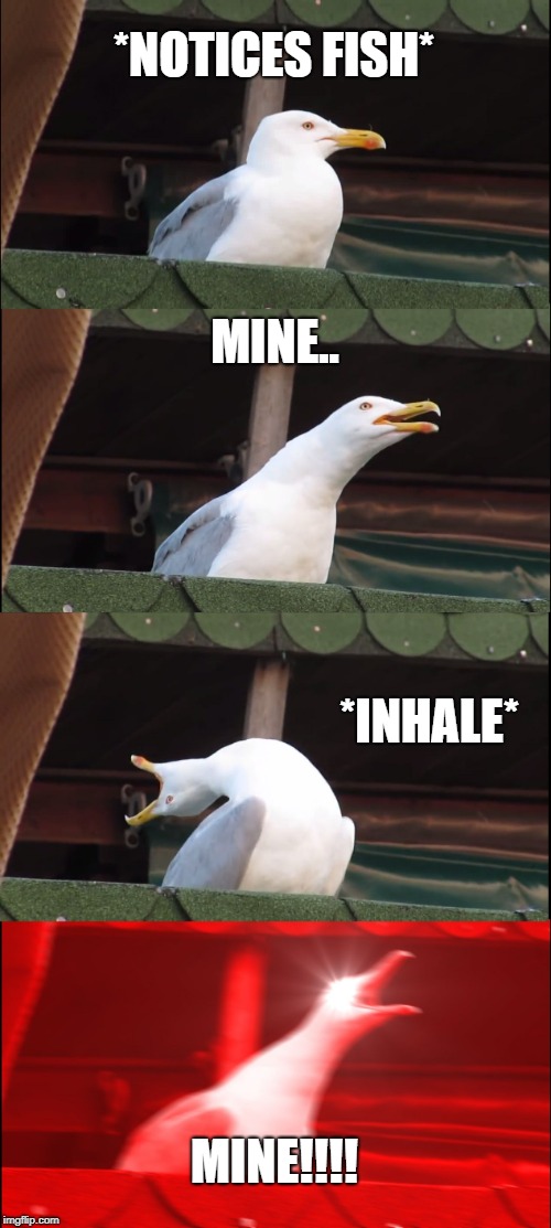 Inhaling Seagull Meme | *NOTICES FISH*; MINE.. *INHALE*; MINE!!!! | image tagged in memes,inhaling seagull | made w/ Imgflip meme maker