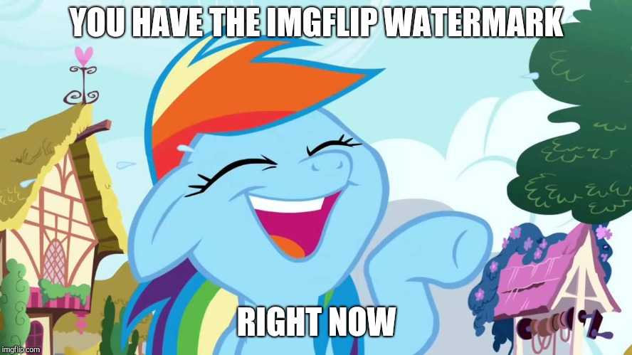 YOU HAVE THE IMGFLIP WATERMARK RIGHT NOW | made w/ Imgflip meme maker