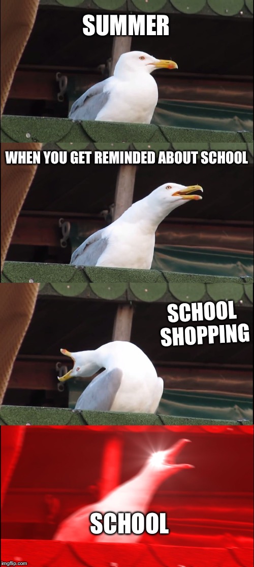 Inhaling Seagull Meme | SUMMER; WHEN YOU GET REMINDED ABOUT SCHOOL; SCHOOL SHOPPING; SCHOOL | image tagged in memes,inhaling seagull | made w/ Imgflip meme maker