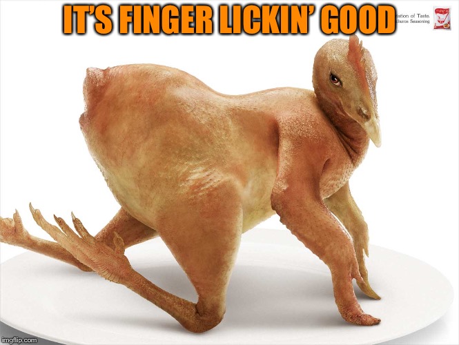 Sexy Chicken Posing | IT’S FINGER LICKIN’ GOOD | image tagged in sexy chicken posing | made w/ Imgflip meme maker