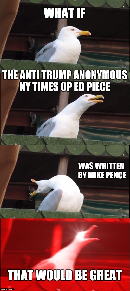Inhaling Seagull | WHAT IF; THE ANTI TRUMP ANONYMOUS NY TIMES OP ED PIECE; WAS WRITTEN BY MIKE PENCE; THAT WOULD BE GREAT | image tagged in memes,inhaling seagull | made w/ Imgflip meme maker