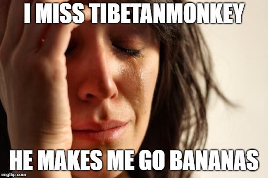 First World Problems Meme | I MISS TIBETANMONKEY HE MAKES ME GO BANANAS | image tagged in memes,first world problems | made w/ Imgflip meme maker
