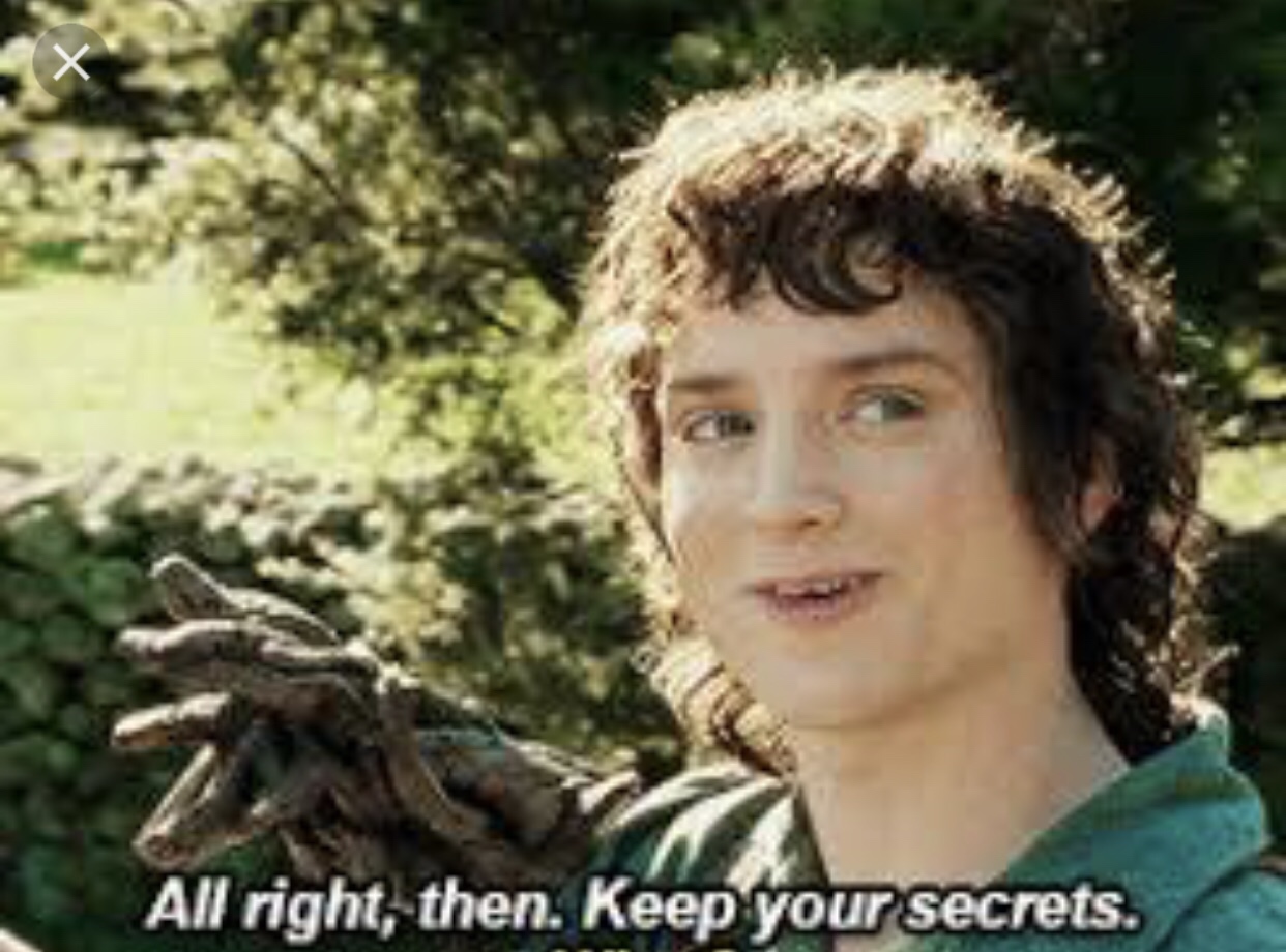 Frodo secrets Blank Meme Template