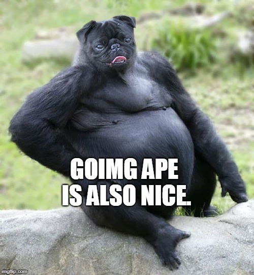 animals | GOIMG APE IS ALSO NICE. | image tagged in animals | made w/ Imgflip meme maker