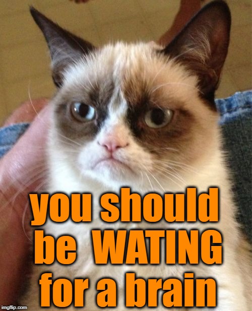 Grumpy Cat Meme | you should be  WATING for a brain | image tagged in memes,grumpy cat | made w/ Imgflip meme maker