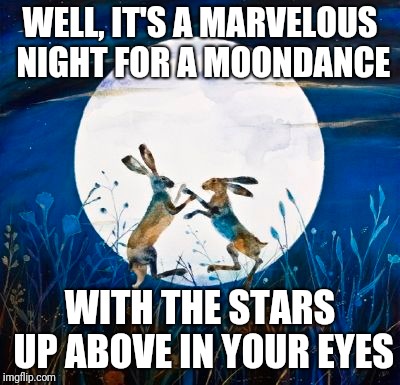 WELL, IT'S A MARVELOUS NIGHT FOR A MOONDANCE; WITH THE STARS UP ABOVE IN YOUR EYES | made w/ Imgflip meme maker