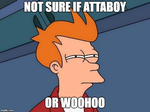 Not sure if- fry | NOT SURE IF ATTABOY; OR WOOHOO | image tagged in not sure if- fry | made w/ Imgflip meme maker