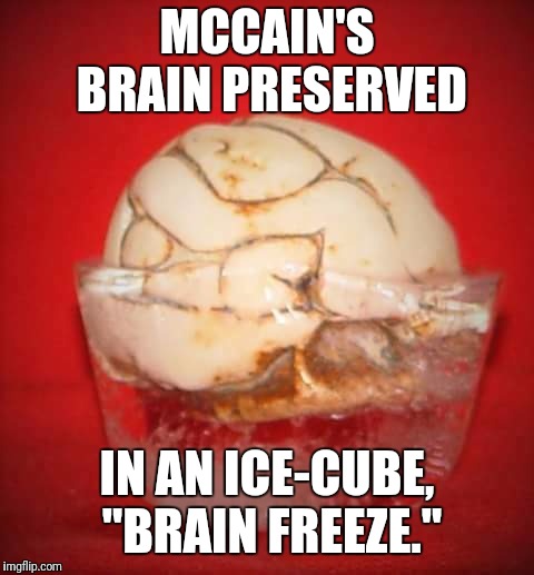 MCCAIN'S BRAIN
PRESERVED; IN AN ICE-CUBE, "BRAIN FREEZE." | image tagged in brain | made w/ Imgflip meme maker