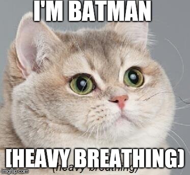 Heavy Breathing Cat Meme | I'M BATMAN; [HEAVY BREATHING) | image tagged in memes,heavy breathing cat | made w/ Imgflip meme maker