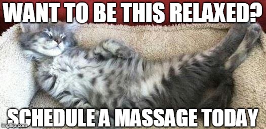 relaxed cat | WANT TO BE THIS RELAXED? SCHEDULE A MASSAGE TODAY | image tagged in relaxed cat | made w/ Imgflip meme maker
