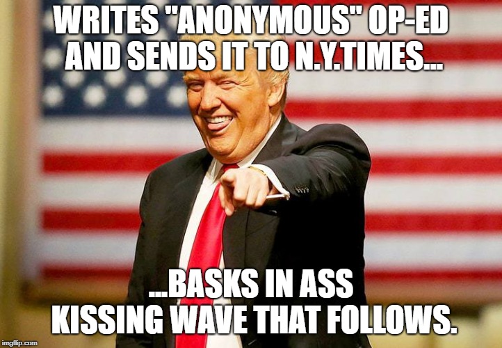 What a Stinker | WRITES "ANONYMOUS" OP-ED AND SENDS IT TO N.Y.TIMES... ...BASKS IN ASS KISSING WAVE THAT FOLLOWS. | image tagged in trump | made w/ Imgflip meme maker