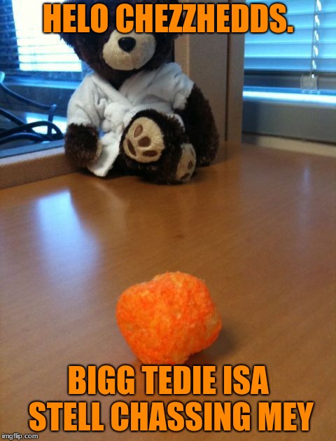 I Chezz | HELO CHEZZHEDDS. BIGG TEDIE ISA STELL CHASSING MEY | image tagged in i chezz | made w/ Imgflip meme maker