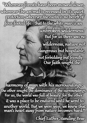 Chief Luther Standing Bear - Ota Kte (plenty Kill) aka Matho Nazin (Standindg Bear) Oglala Lakota Sioux Dec. 1868-Feb 20, 1939 | "Wherever forests have been mowed down, wherever the animal is recessed in it's quiet; protection, wherever the earth is no bereft of; four-footed life - that to the white man is an; 'unbroken wilderness.'; But for us there was no; wilderness, nature not; dangerous but hospitable, not forbidding but friendly; Our faith sought the; harmony of man with his surroundings;; the other sought the dominance of the surroundings. For us, the world was full of beauty; for the other; it was a place to be endured until he went to; another world. But we were wise, we knew that; man's heart away from nature becomes hard."; Chief Luther Standing Bear | image tagged in chief,indian chiefs,native american,native americans,indians,tribe | made w/ Imgflip meme maker