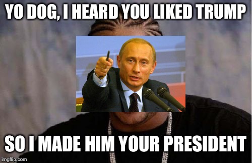 See how you like him now | YO DOG, I HEARD YOU LIKED TRUMP; SO I MADE HIM YOUR PRESIDENT | image tagged in memes,yo dawg heard you | made w/ Imgflip meme maker
