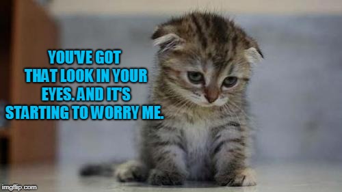 Sad kitten | YOU'VE GOT THAT LOOK IN YOUR EYES. AND IT'S STARTING TO WORRY ME. | image tagged in sad kitten | made w/ Imgflip meme maker